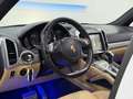 Porsche Cayenne II 4,1 Diesel Aut.PANO, ANROID, AHK,BOSE, MEGA ... Weiß - thumbnail 22