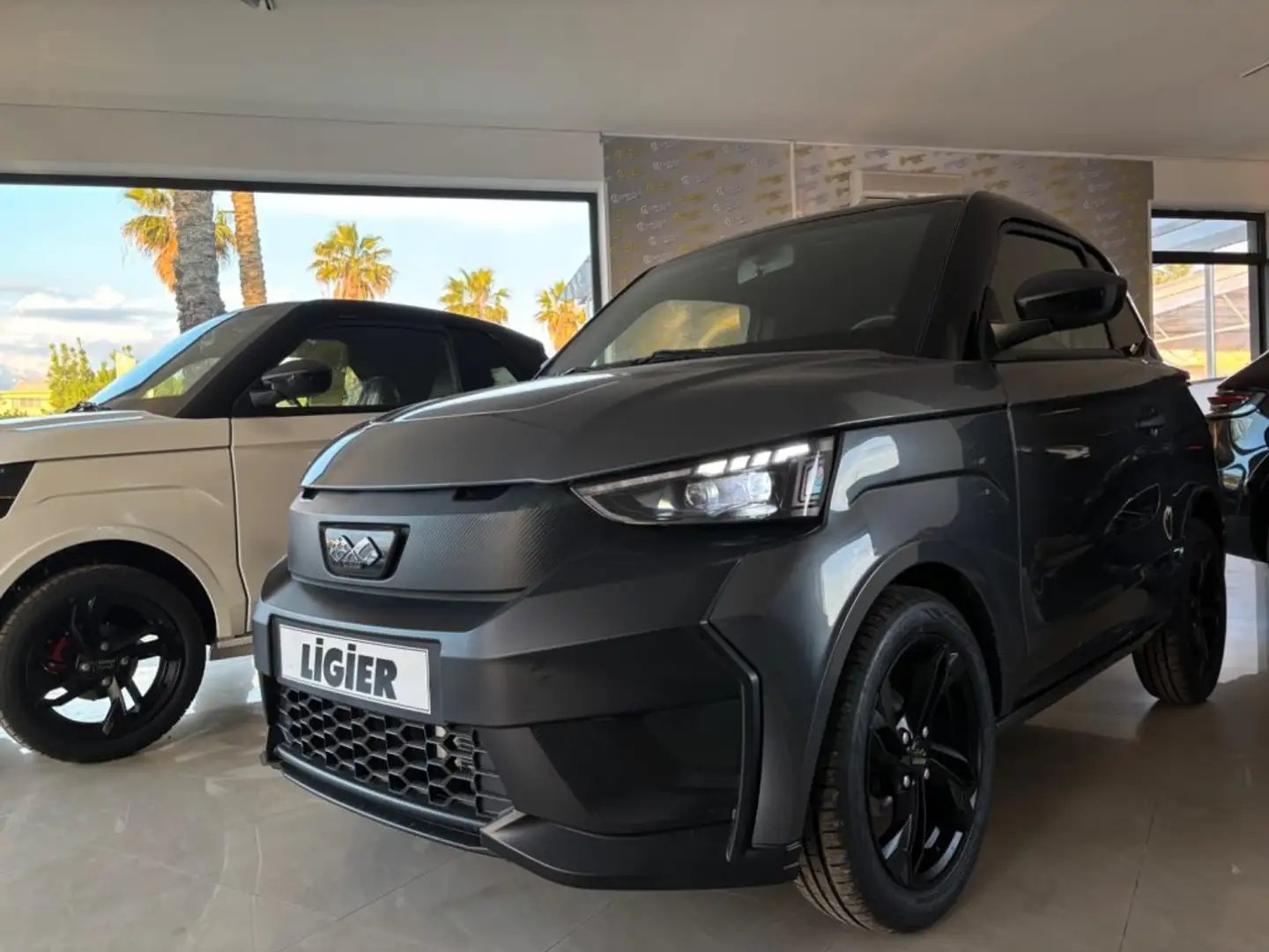 Ligier JS 50 DCI Elite Confort TUA DA 210 MENSILI ANT.0 Grigio - 2