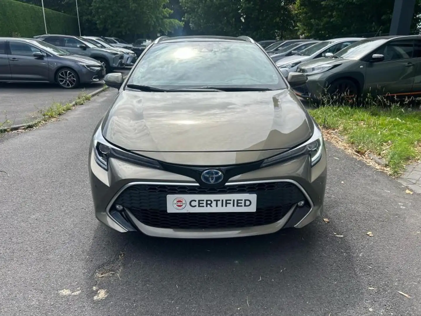 Toyota Corolla PREMIUM Bronze - 2
