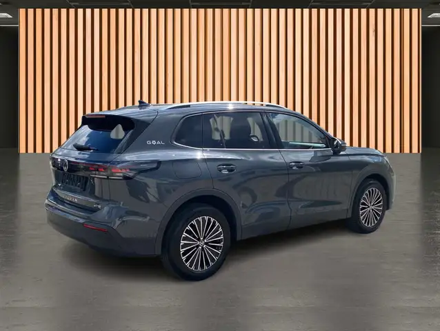 Volkswagen Tiguan view 5
