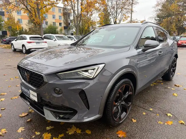 Cupra Formentor VZ 4Drive AUT~Leder~Beats~Kam~ACC