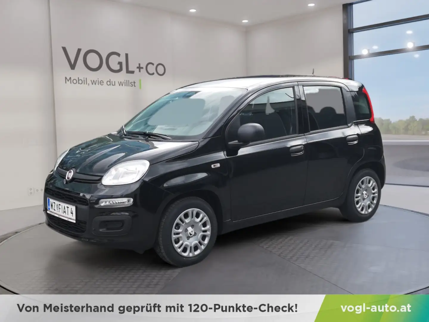 Fiat Panda Pandina City Paket Schwarz - 1