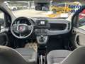 Fiat Panda Panda 1.0 FireFly S&S Hybrid Blu/Azzurro - thumbnail 12