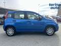 Fiat Panda Panda 1.0 FireFly S&S Hybrid Blu/Azzurro - thumbnail 8