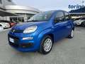 Fiat Panda Panda 1.0 FireFly S&S Hybrid Blu/Azzurro - thumbnail 3
