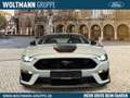 Ford Mustang Mach1 5.0 V8 460PS Automatik Navi Leder B&O LED Gris - thumbnail 2