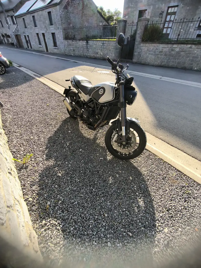 Benelli Leoncino Gris - 1