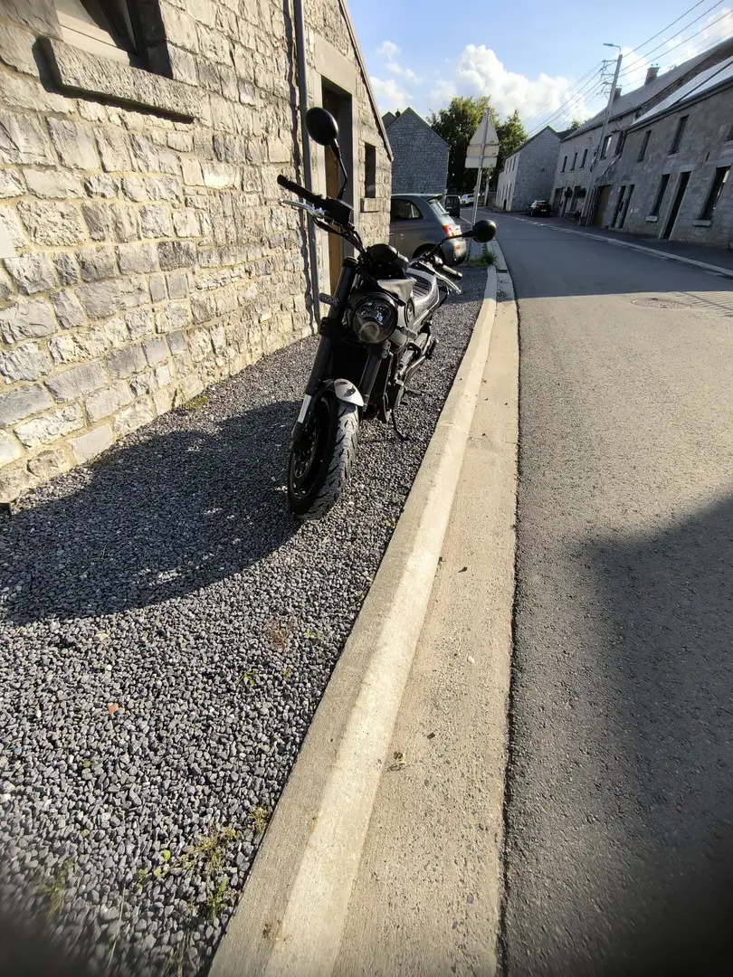 Benelli Leoncino Gris - 2