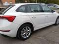 Skoda Scala 1.0 ambition 95 cv Benzina Bianco - thumbnail 2