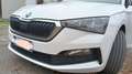 Skoda Scala 1.0 ambition 95 cv Benzina Bianco - thumbnail 4