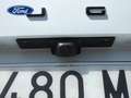 Ford Kuga 2.5 Duratec FHEV ST-Line 4x2 Aut. Blanco - thumbnail 15
