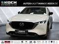 Mazda CX-5 2023 5WGN 2.5L e-SKYACTIV G 194ps 6AT AWD HOM Weiß - thumbnail 1
