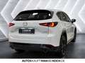 Mazda CX-5 2023 5WGN 2.5L e-SKYACTIV G 194ps 6AT AWD HOM Weiß - thumbnail 4