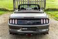 Ford Mustang Mustang Convertible V8 5.0 GT - 1st French hand Grigio - thumbnail 15