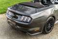 Ford Mustang Mustang Convertible V8 5.0 GT - 1st French hand Grau - thumbnail 16
