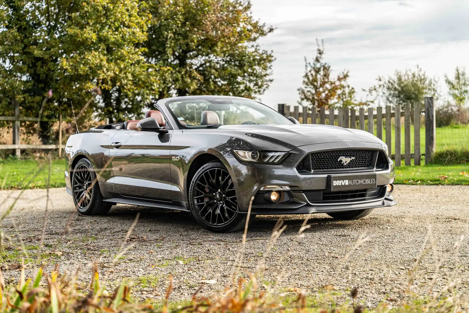 Ford Mustang Mustang Convertible V8 5.0 GT - 1st French hand Grijs - 1