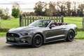 Ford Mustang Mustang Convertible V8 5.0 GT - 1st French hand Grigio - thumbnail 5