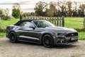 Ford Mustang Mustang Convertible V8 5.0 GT - 1st French hand Grau - thumbnail 2
