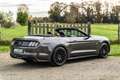 Ford Mustang Mustang Convertible V8 5.0 GT - 1st French hand Grigio - thumbnail 6