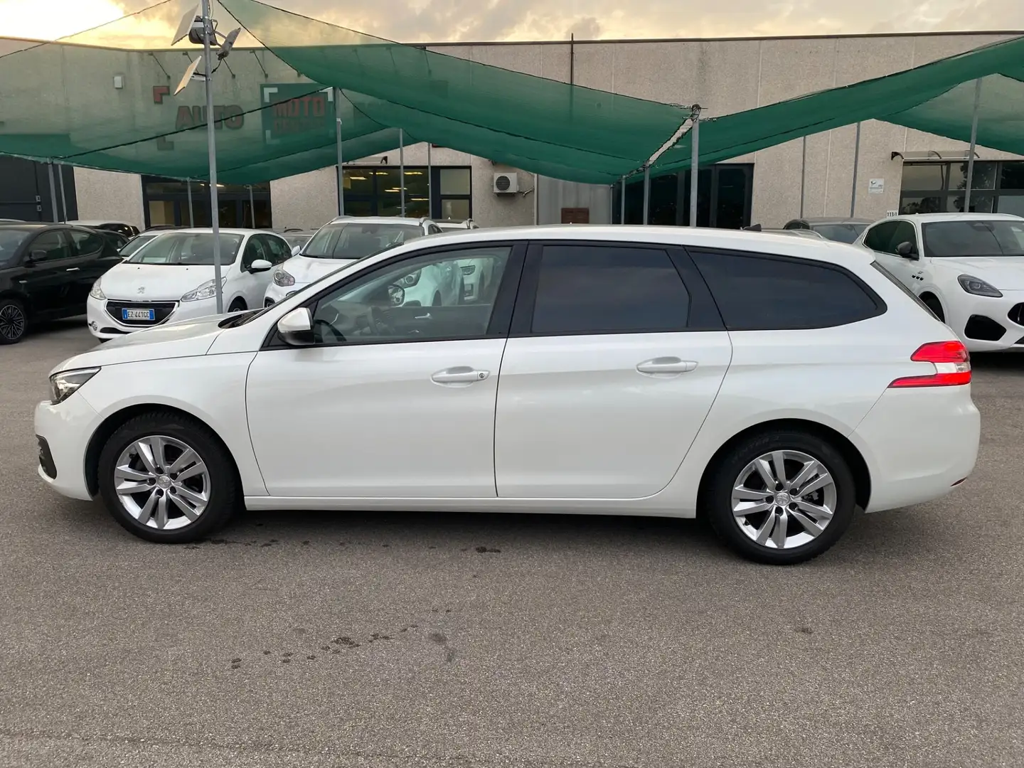Peugeot 308 BlueHDi 130 S&S SW Business Blanc - 2