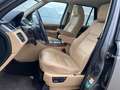 Land Rover Range Rover Sport V6 TD HSE|NAVI Gold - thumbnail 6
