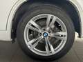 BMW X5 BMW X5 30d M-Sport*Mineralweiß Individual+1Hand Weiß - thumbnail 12