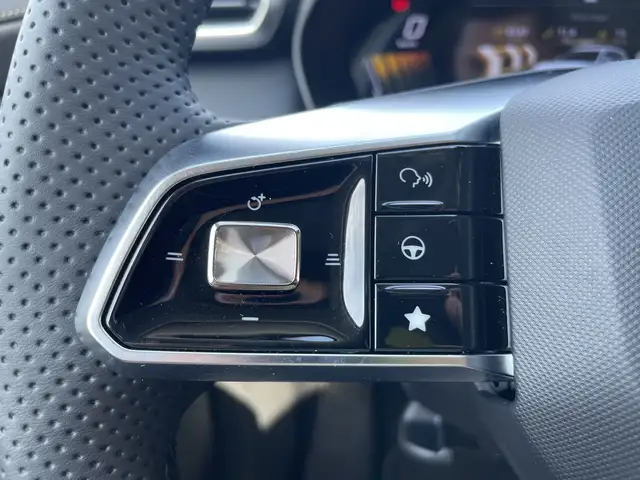MG ZS view 9