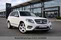 Mercedes-Benz GLK 200 CDI AMG BlueEfficiency 9G-TRONIC AHK Blanc - thumbnail 1