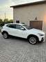 BMW X2 sdrive16d Advantage auto - thumbnail 4