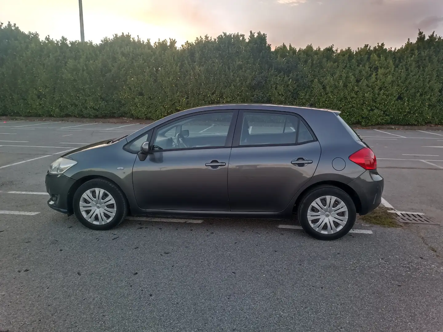 Toyota Auris Auris 5p 1.6 dual Sol m-mt Grigio - 1