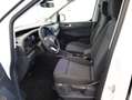 Volkswagen Caddy Edition eHybrid 110 kW Weiß - thumbnail 12
