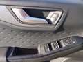 Ford Kuga 1.5 EcoBlue 120 CV 2WD Titanium Grau - thumbnail 9