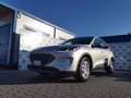 Ford Kuga 1.5 EcoBlue 120 CV 2WD Titanium Grau - thumbnail 2
