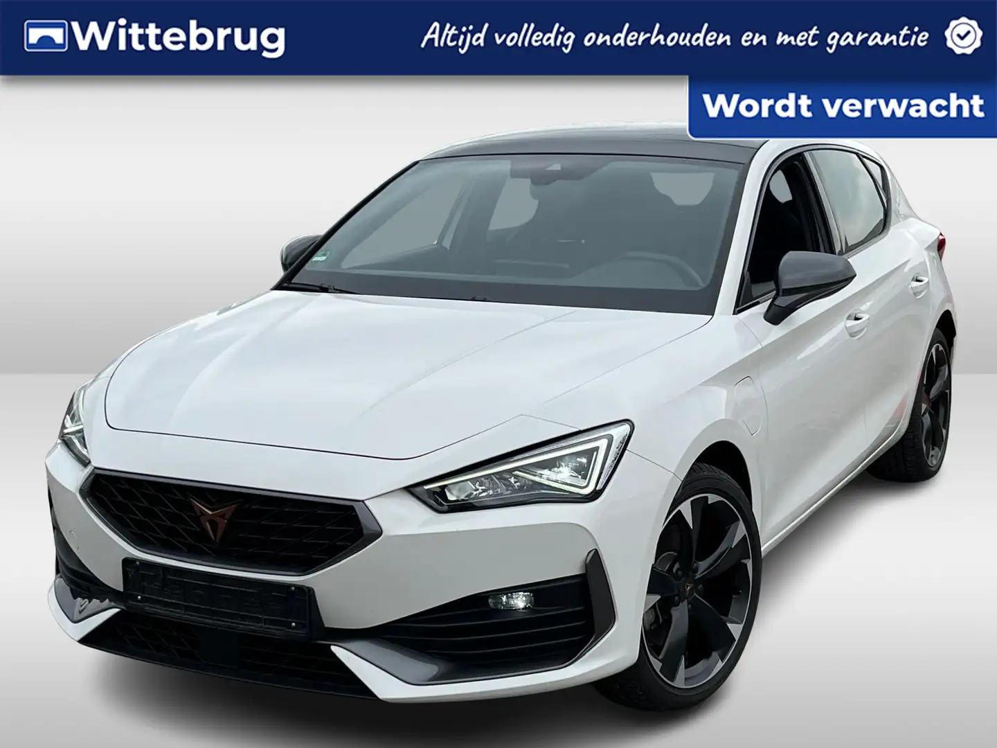 CUPRA Leon 1.4 e-Hybrid 204PK Performance / Panoramadak / Kui Wit - 1