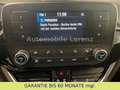 Ford Fiesta FIESTA  / RENTNER VORBESITZ / KLIMAANLAGE Blau - thumbnail 18