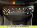 Ford Fiesta FIESTA  / RENTNER VORBESITZ / KLIMAANLAGE Blau - thumbnail 17