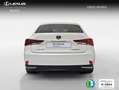 Lexus IS 300 300h Business Blanco - thumbnail 5