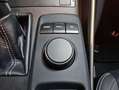 Lexus IS 300 300h Business Blanco - thumbnail 28
