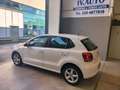 Volkswagen Polo 5p 1.2 tdi Trendline km 83000 Bianco - thumbnail 6