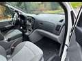 Hyundai H-1 H-1 People 2.5 CRDi Executive DPF Blanc - thumbnail 15