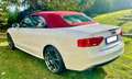 Audi A5 A5 Cabrio 2.0 tfsi quattro s-tronic Bianco - thumbnail 6