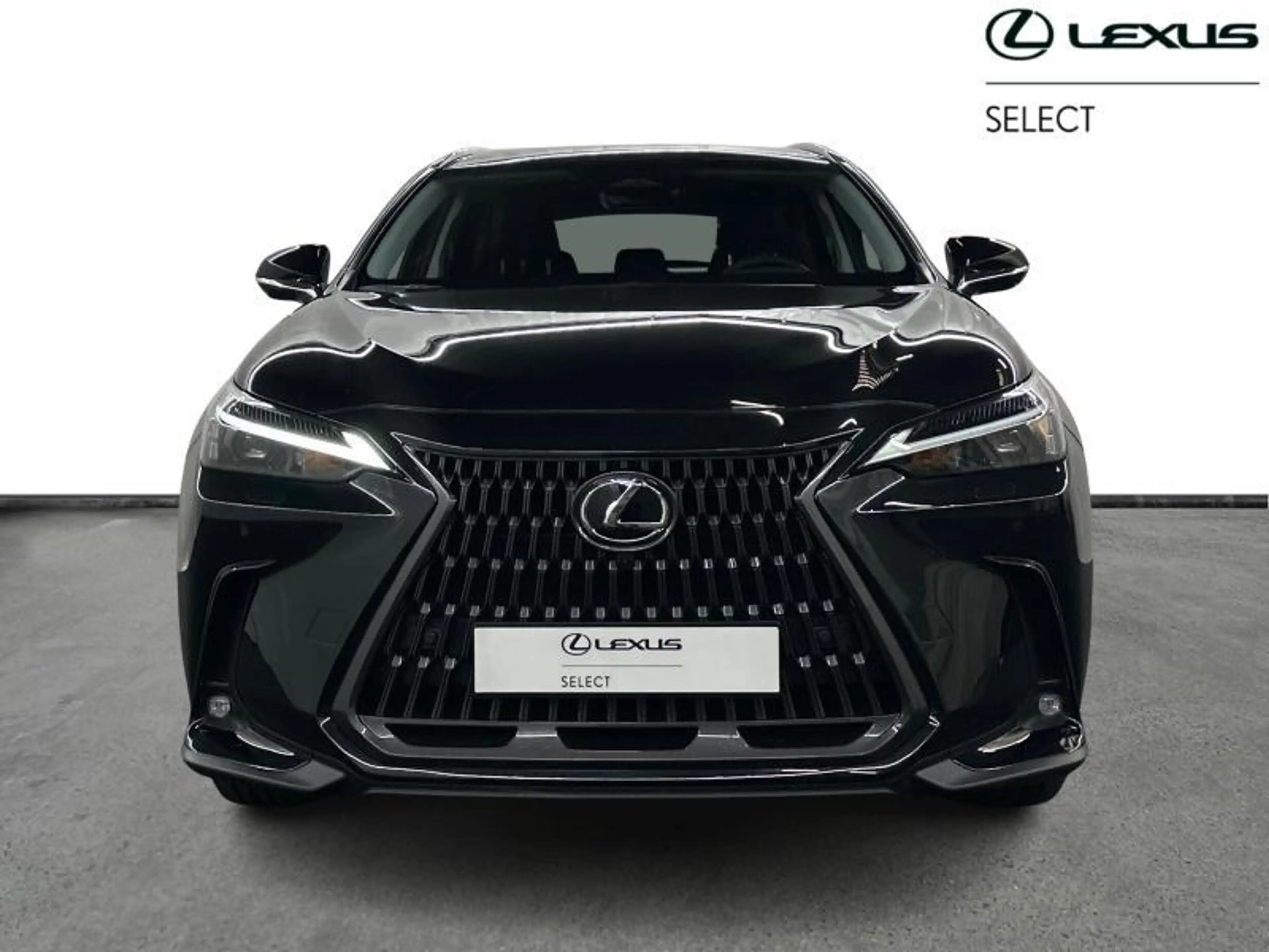 Lexus NX 350h 244hp HEV Executive L | head up display — photo 5
