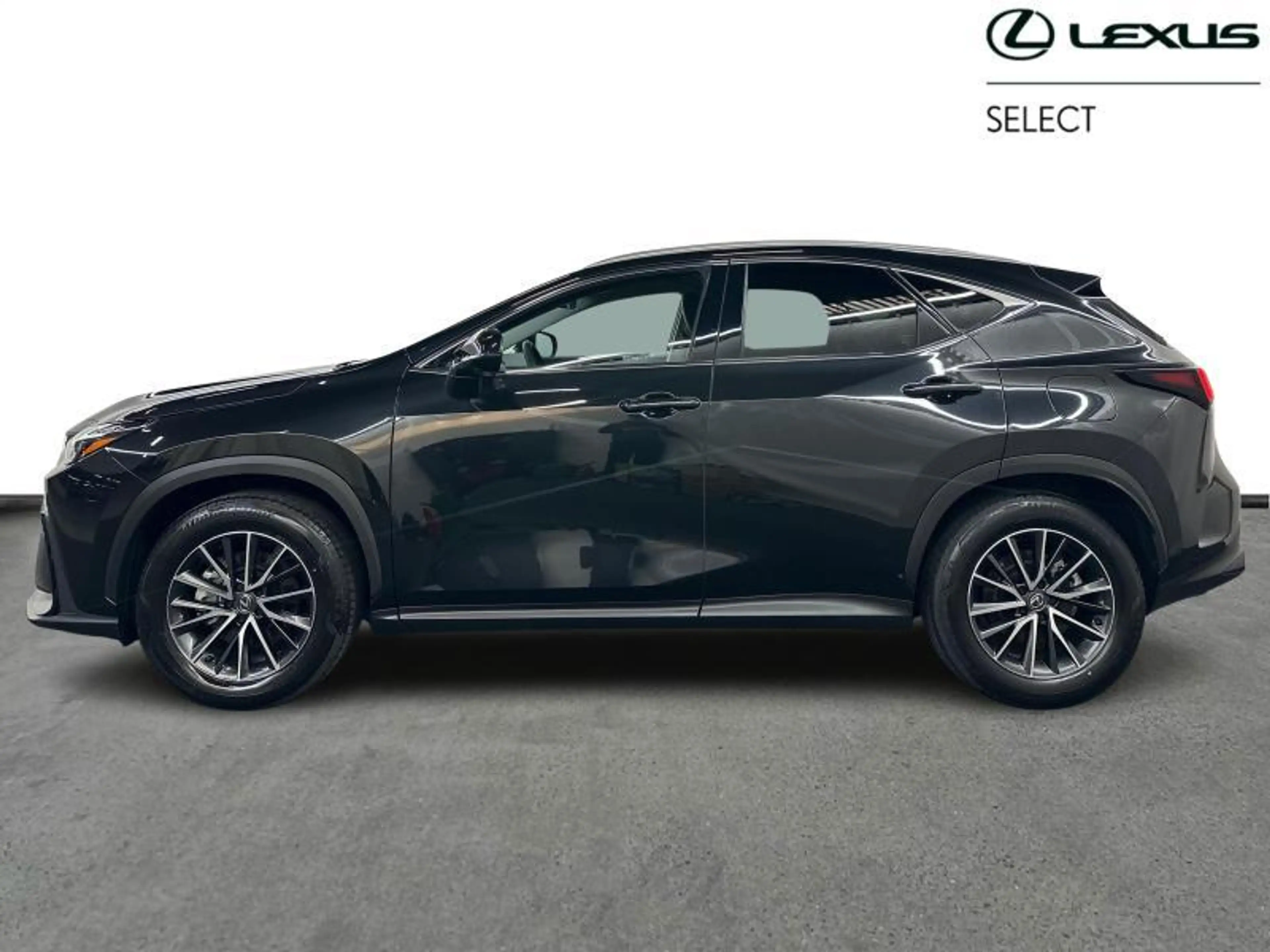 Lexus NX 350h 244hp HEV Executive L | head up display — photo 3