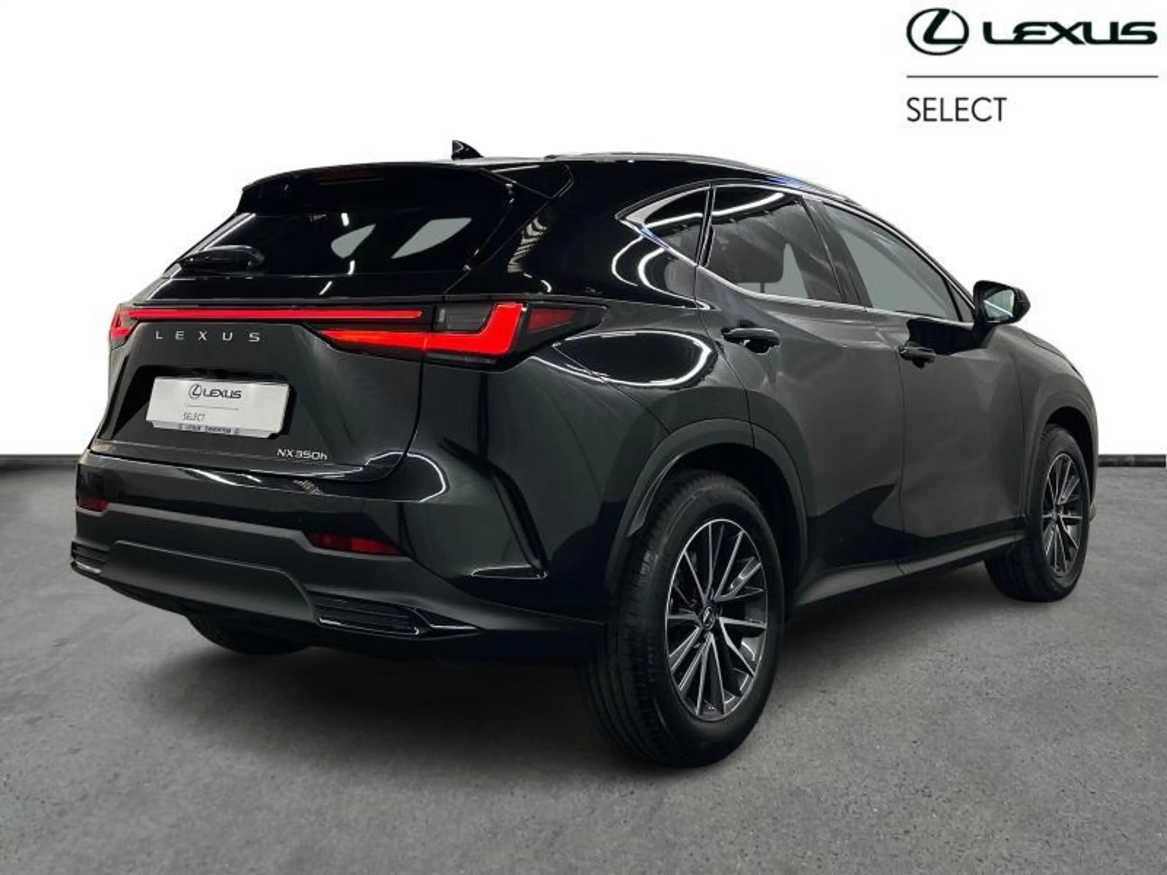 Lexus NX 350h 244hp HEV Executive L | head up display — photo 15