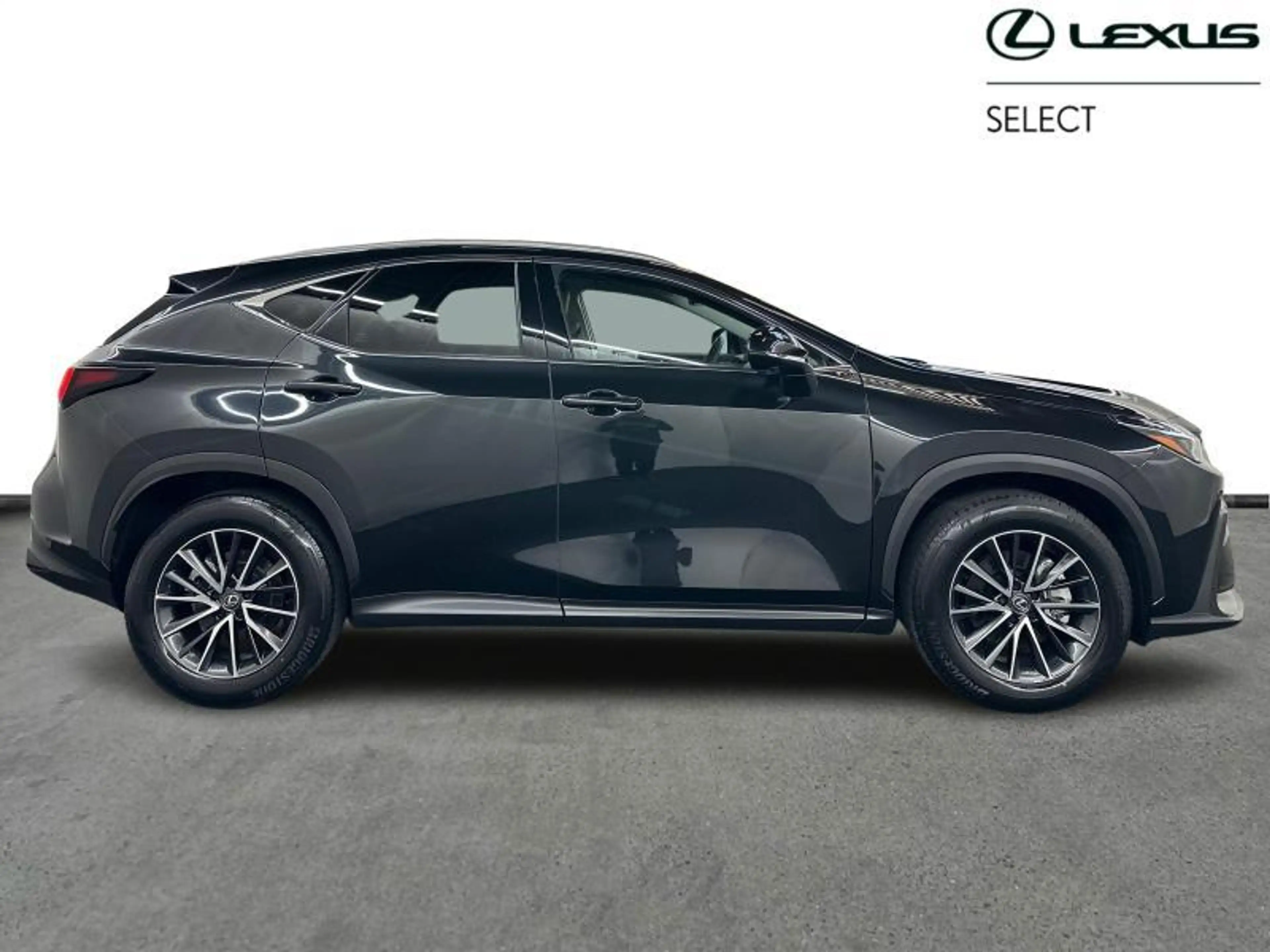 Lexus NX 350h 244hp HEV Executive L | head up display — photo 14