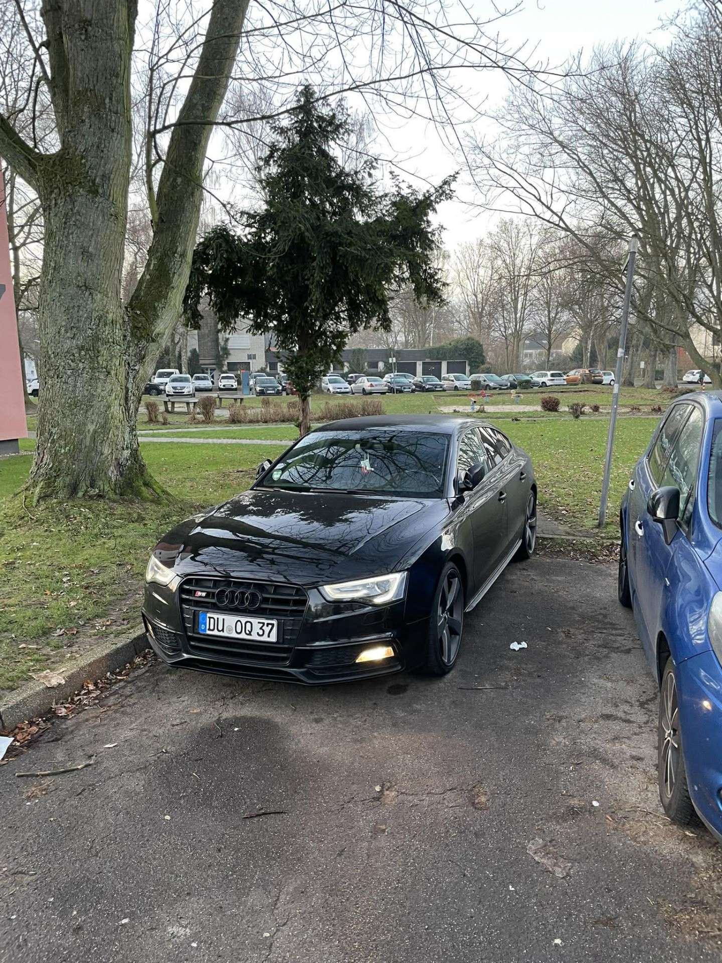 Használt Audi S5 3.0