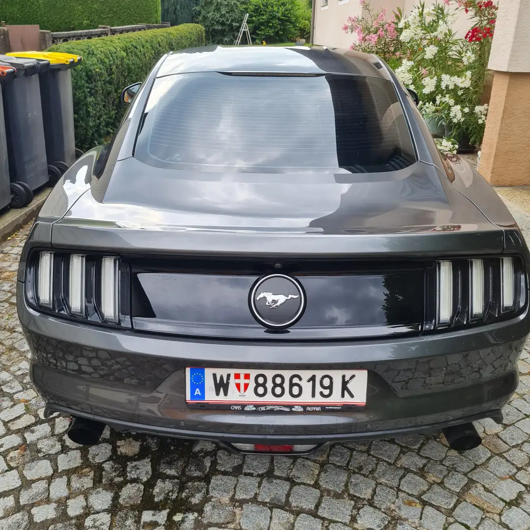 Ford Mustang Mustang 2,3 EcoBoost Grau - 2