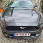 Ford Mustang Mustang 2,3 EcoBoost Grau - thumbnail 1