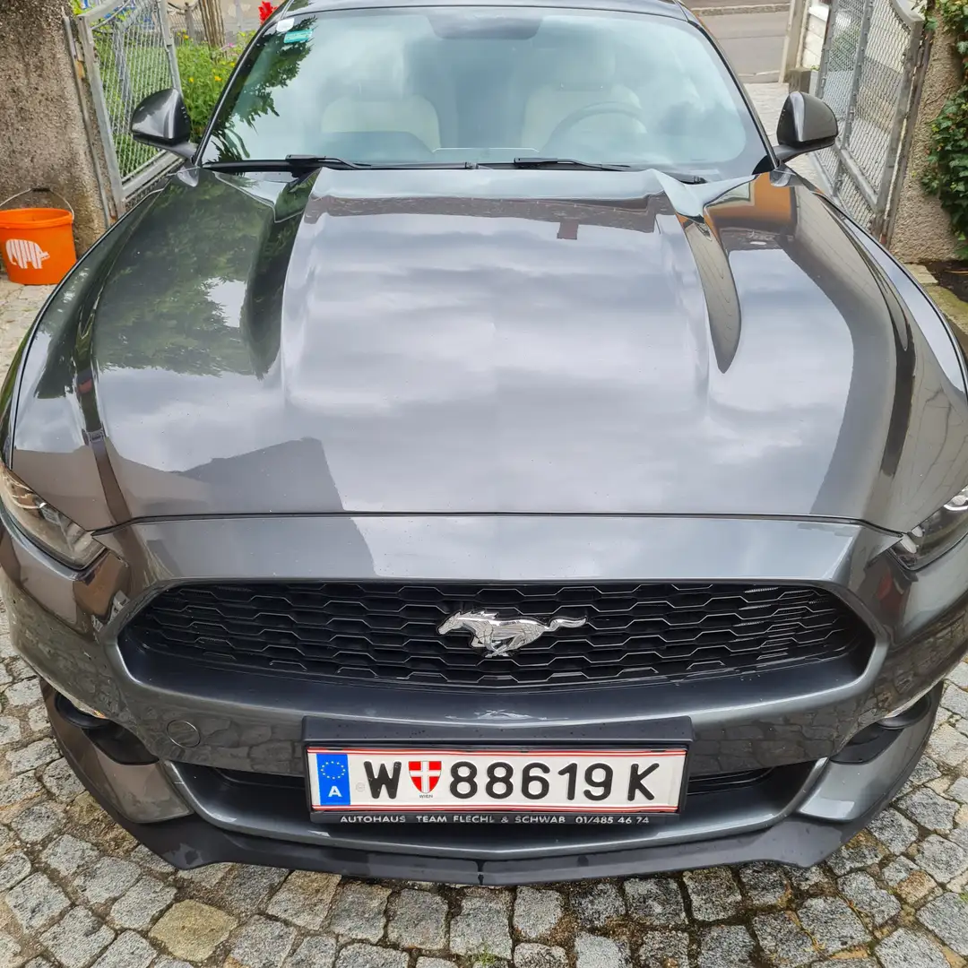 Ford Mustang Mustang 2,3 EcoBoost Grau - 1