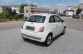 Fiat 500 74 kw Sh.gepfl. Insp. neu Blanc - thumbnail 10